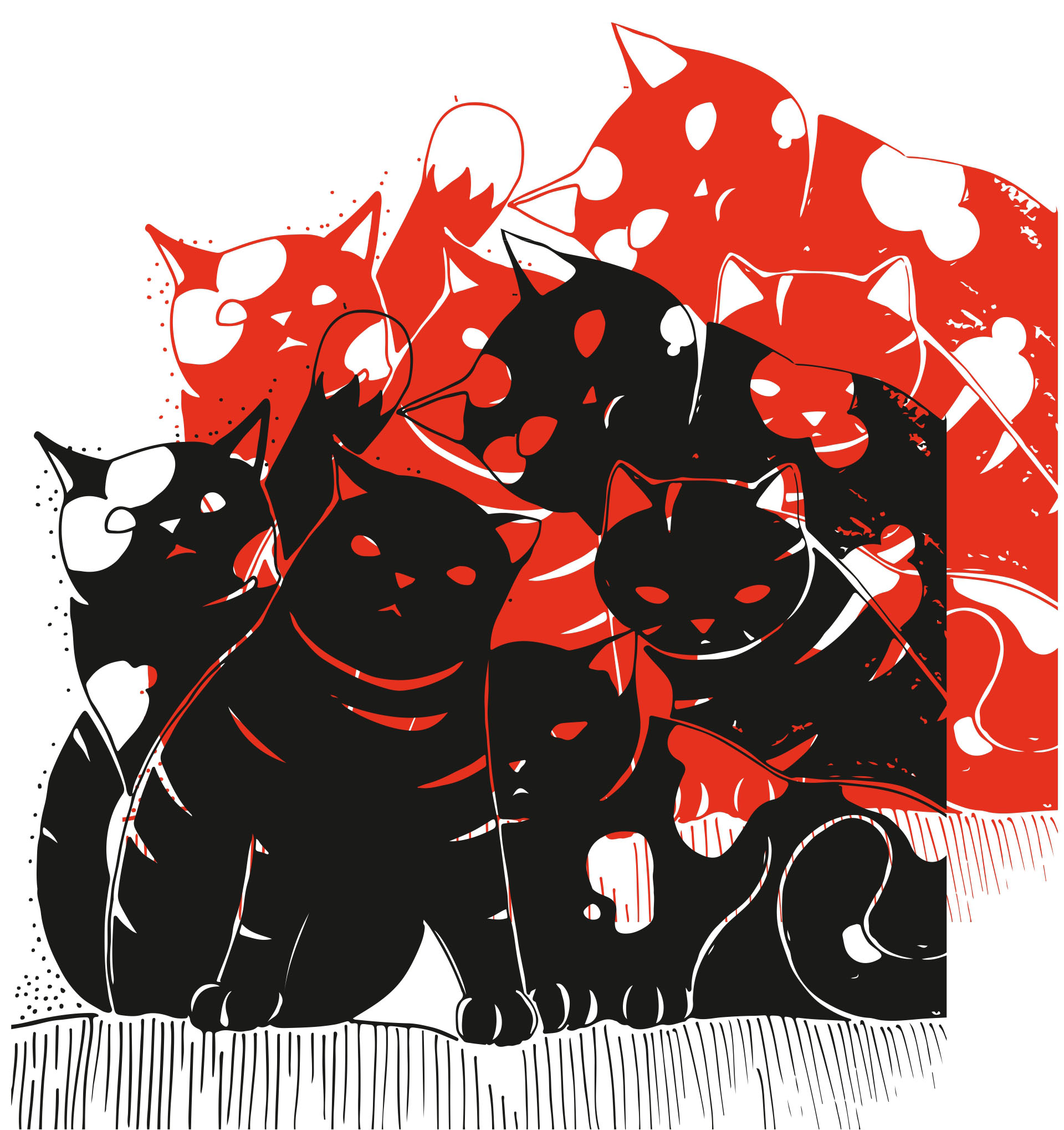 Коты